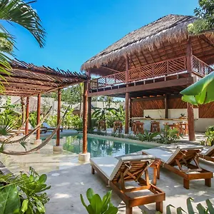 https://zenses-wellness-and-yoga-resort-adults-only.quintano-roohotels.com